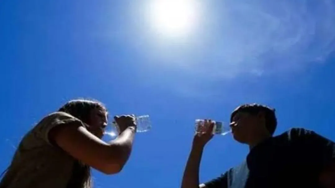 WhatsApp Image 2026 04 27 at 12.12.41 AM