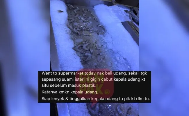 Udang