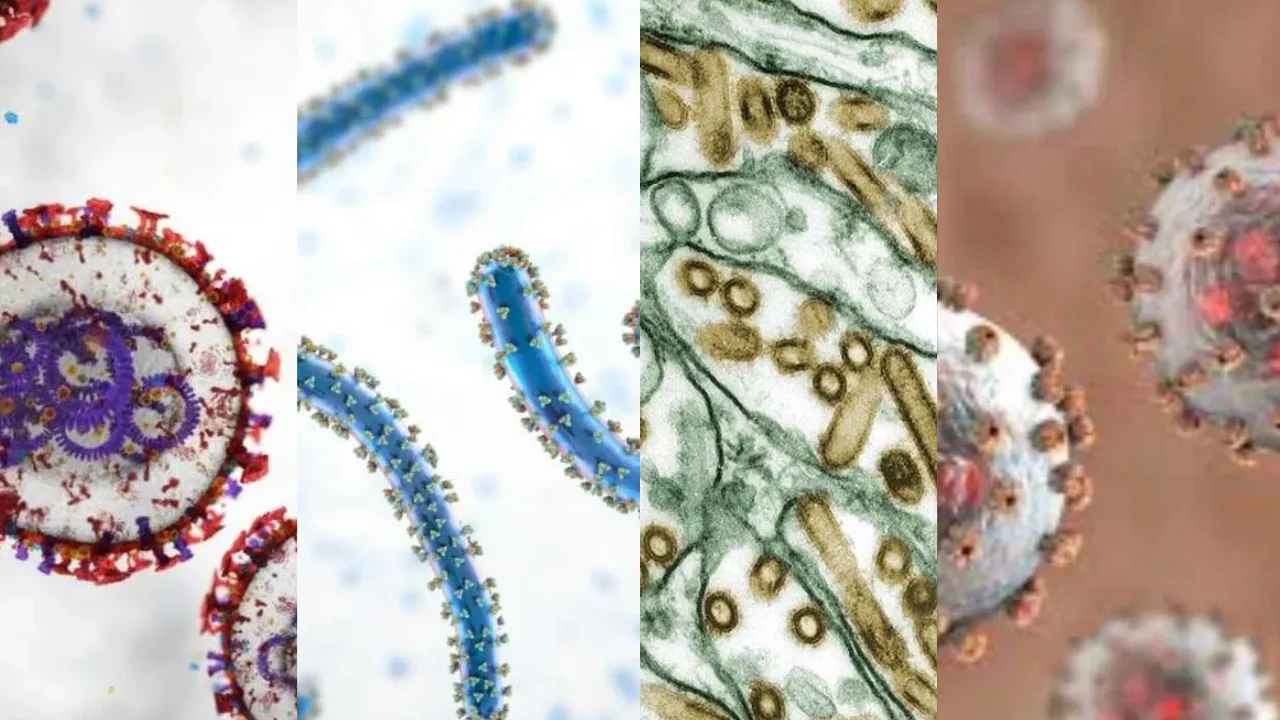 Astrogempak VIRUS