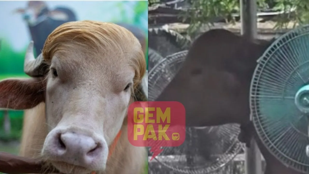Astrogempak 