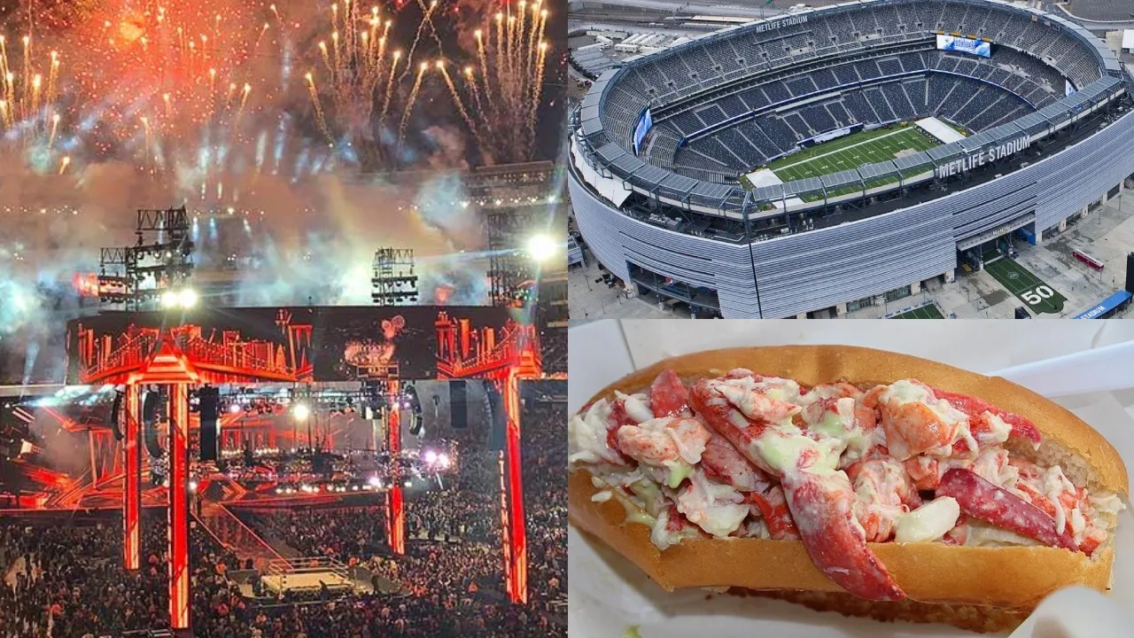Metlife stadium
