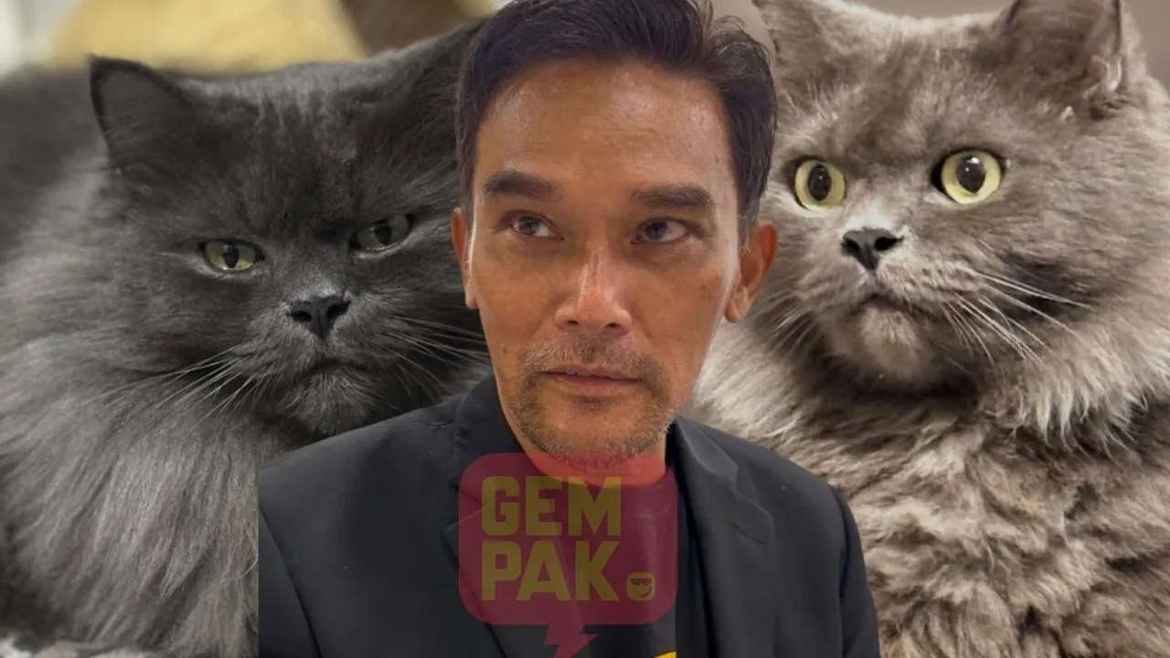 Jiwa Azhan Rani Tak Tenang, Kucing ‘British Longhair’ Hilang - “InsyaAllah Saya Akan Beri Apa Yang Mampu Asalkan…”