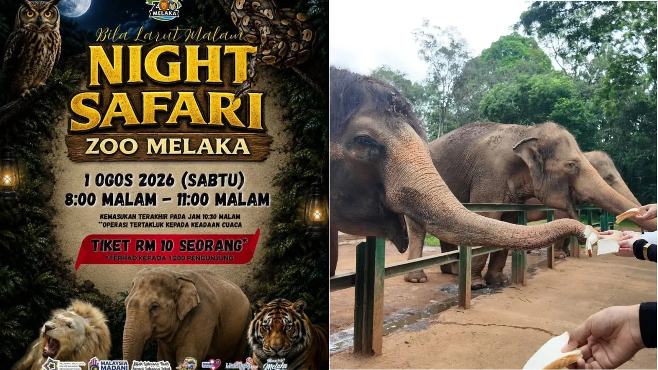 Zoo Melaka Is Offering Limited RM10 Night Safari Tickets This Saturday!