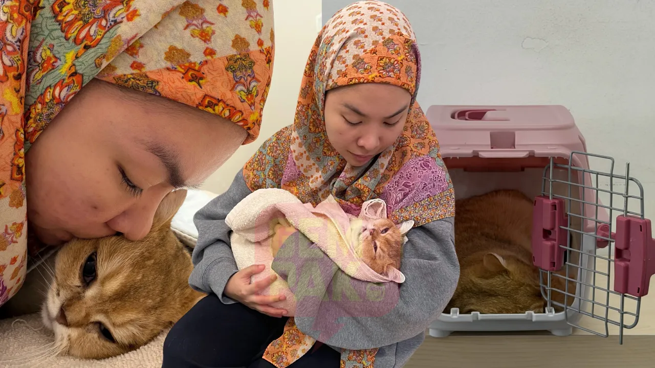 2 Tahun Jadi Peneman Aina Abdul, Hiro Pergi Buat Selamanya - "Mama Masih Belajar Untuk Reda"