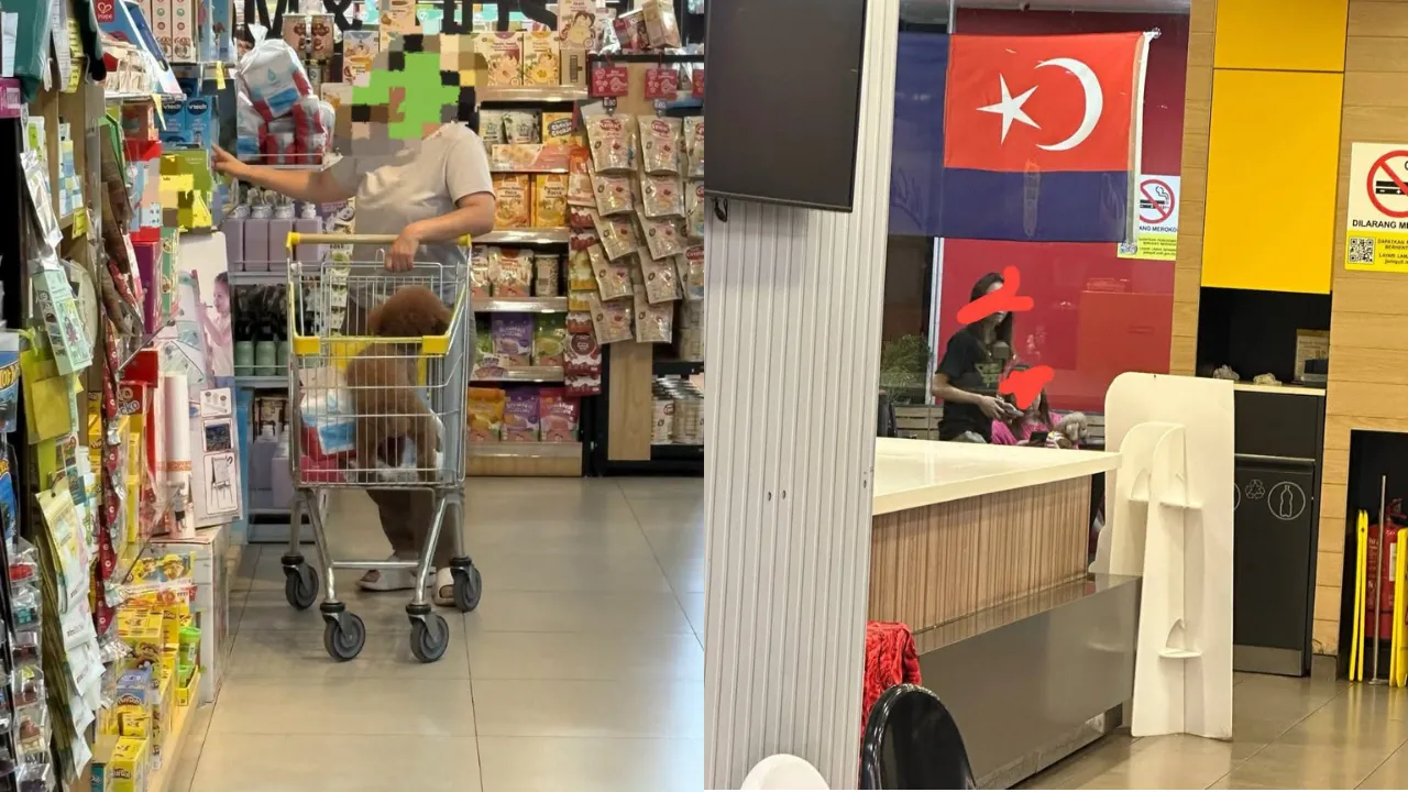 When and Where Can You Bring Your Pet Dog? Two Viral Incidents Spark Debate Among Malaysians