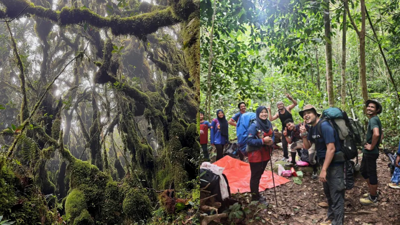 6 Missing GBB Hikers Including 9yo Child, Found After Rescuers Spot Smoke Signal