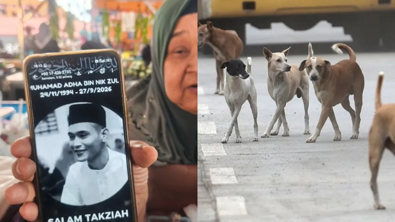 M’sian Man Dies Of Rabies After Being Bitten By Stray Dog He Was Trying To Feed