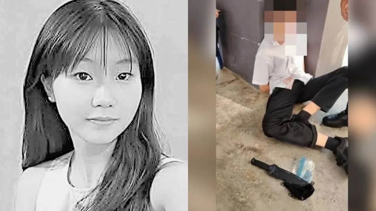 BU Teen Who Confessed His Feelings Before Fatally Stabbing Schoolmate Idolised School Shooters