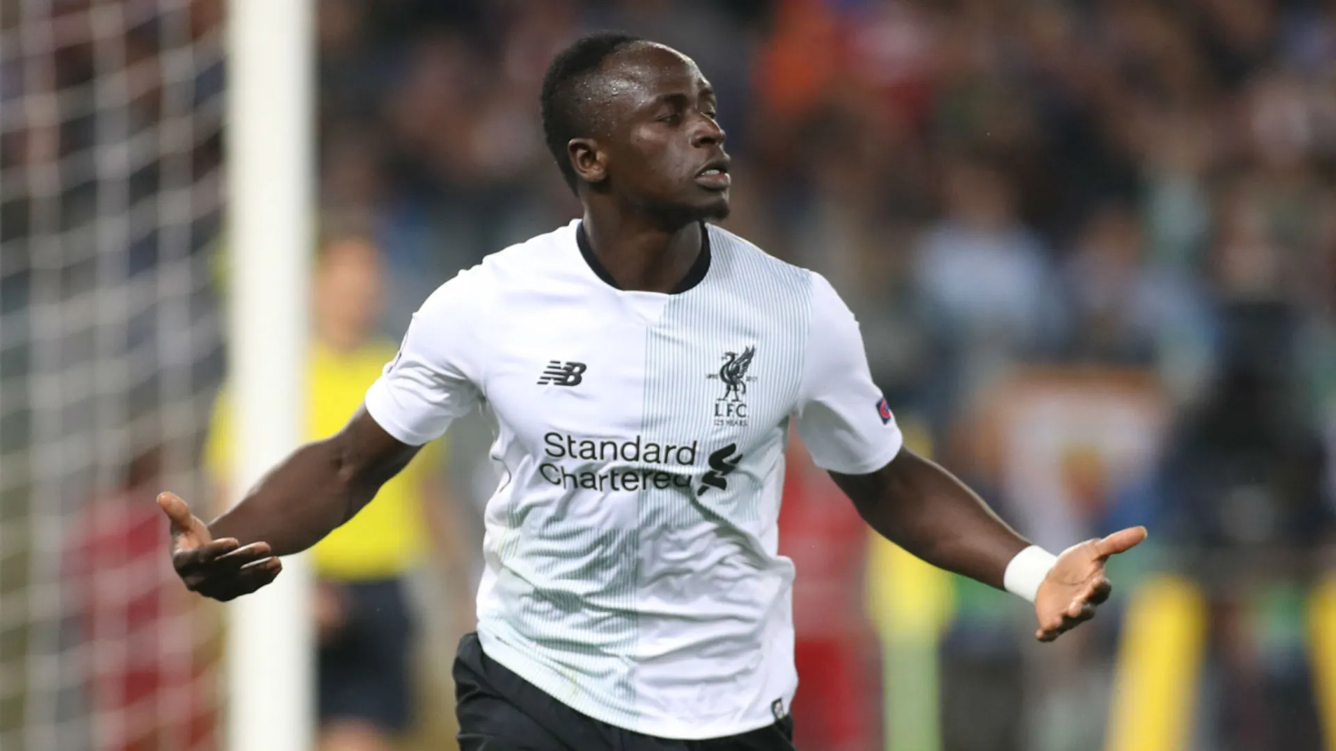 mane-cropped_dywfeot9vjdp18vz2nwxankjp.jpg