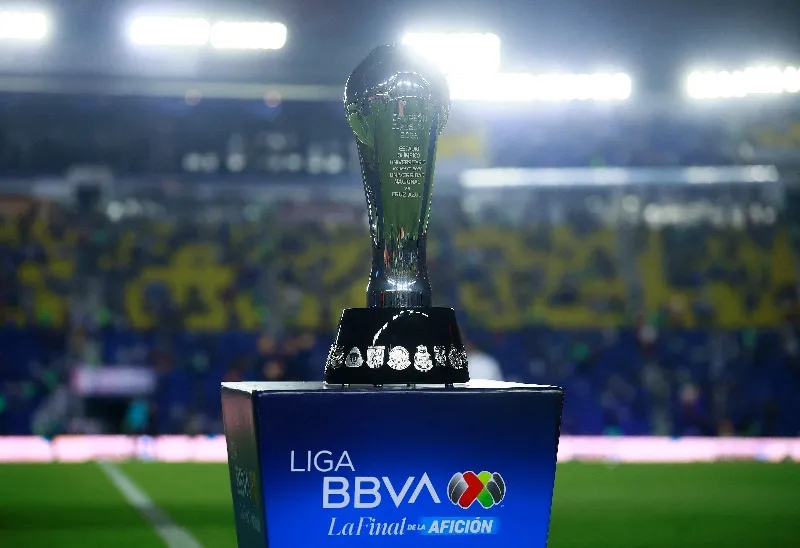 SOCCER-MEXICO-MONOPOLY:Mexico antitrust watchdog opens probe into professional soccer market