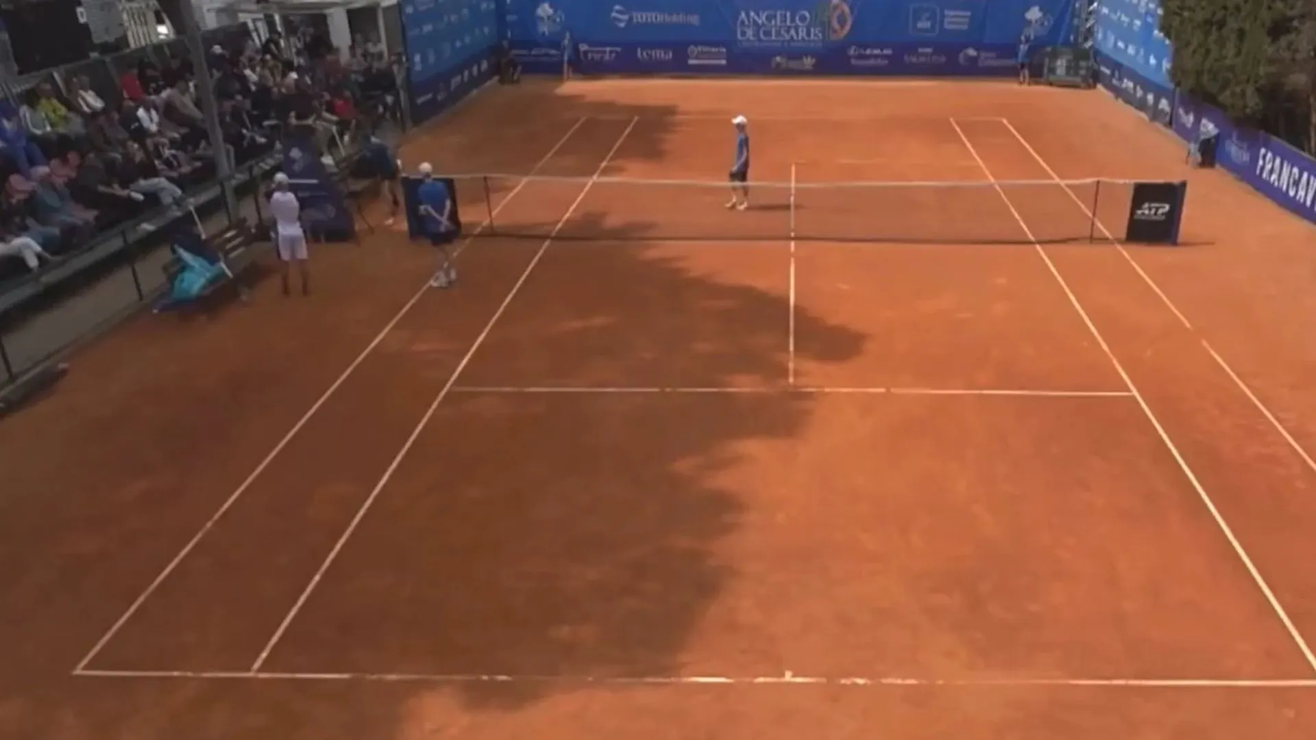 Tenis