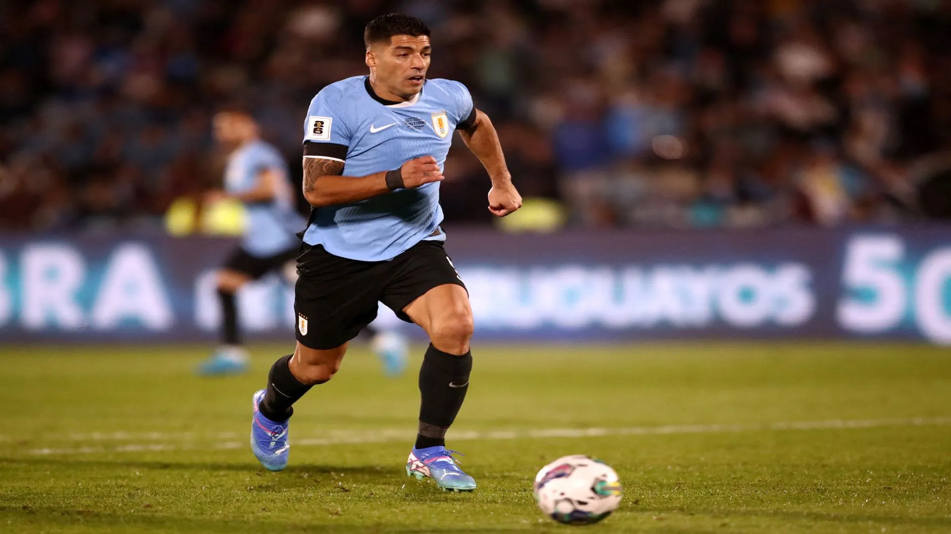 Suarez