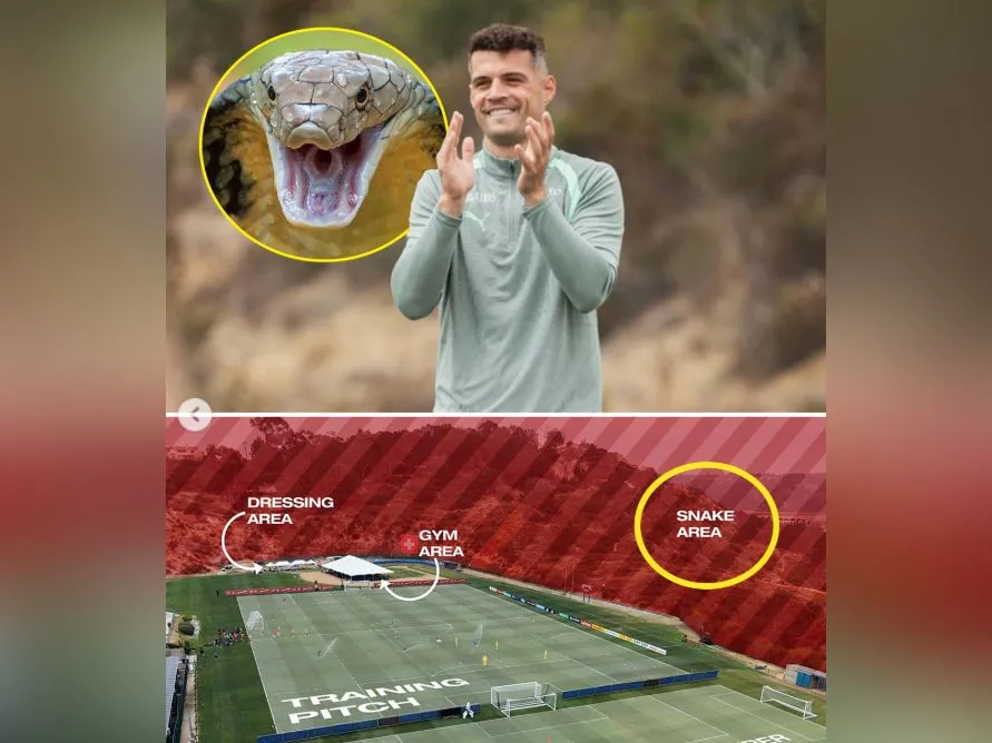 Persiapan Switzerland ditemani haiwan berbisa?