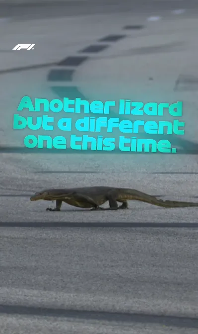biawak gp singapura
