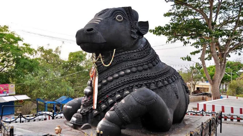 Bull temple