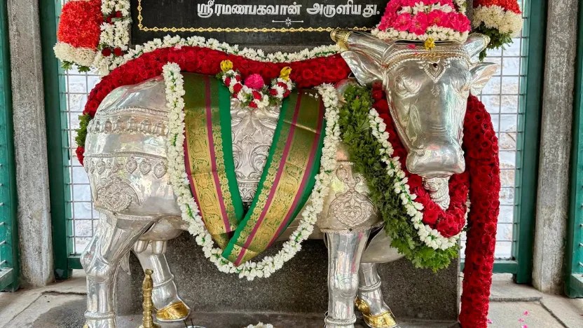 Lakshmi the Cow: The Devoted Soul Who Sri Ramana Maharshi Said Attained Mukti
