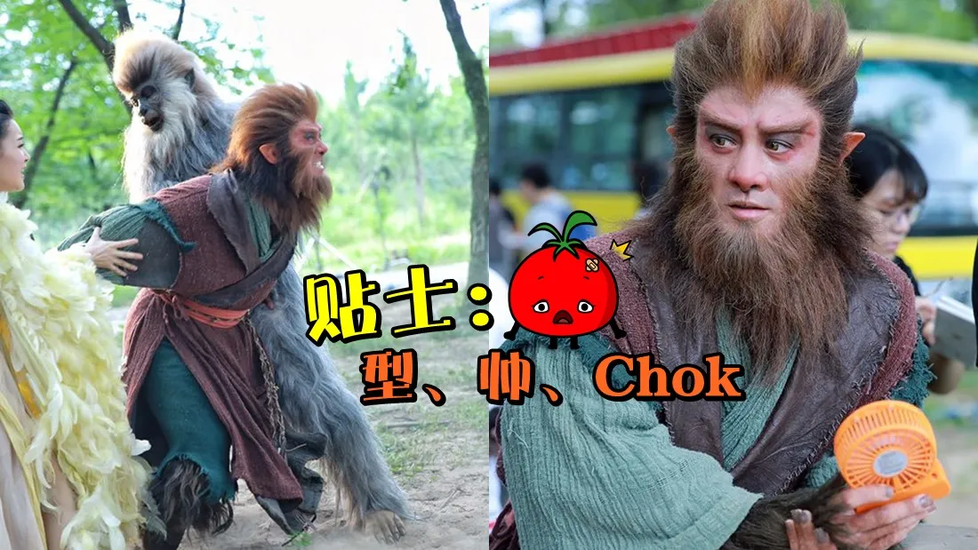 monkey_look_banner.jpg