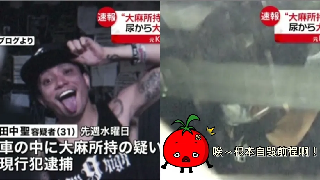 tanaka_koki_main.jpg