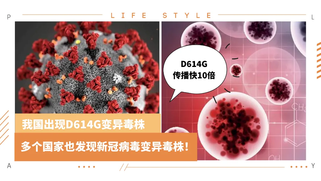d614g-virus.png