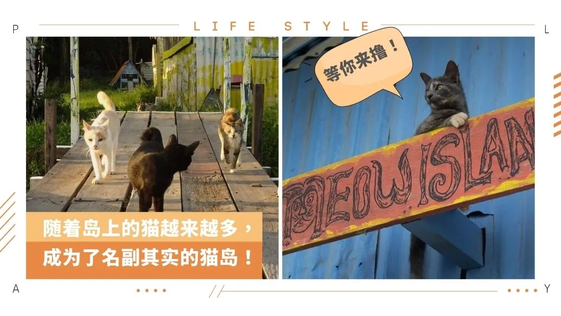 meow-island.jpg