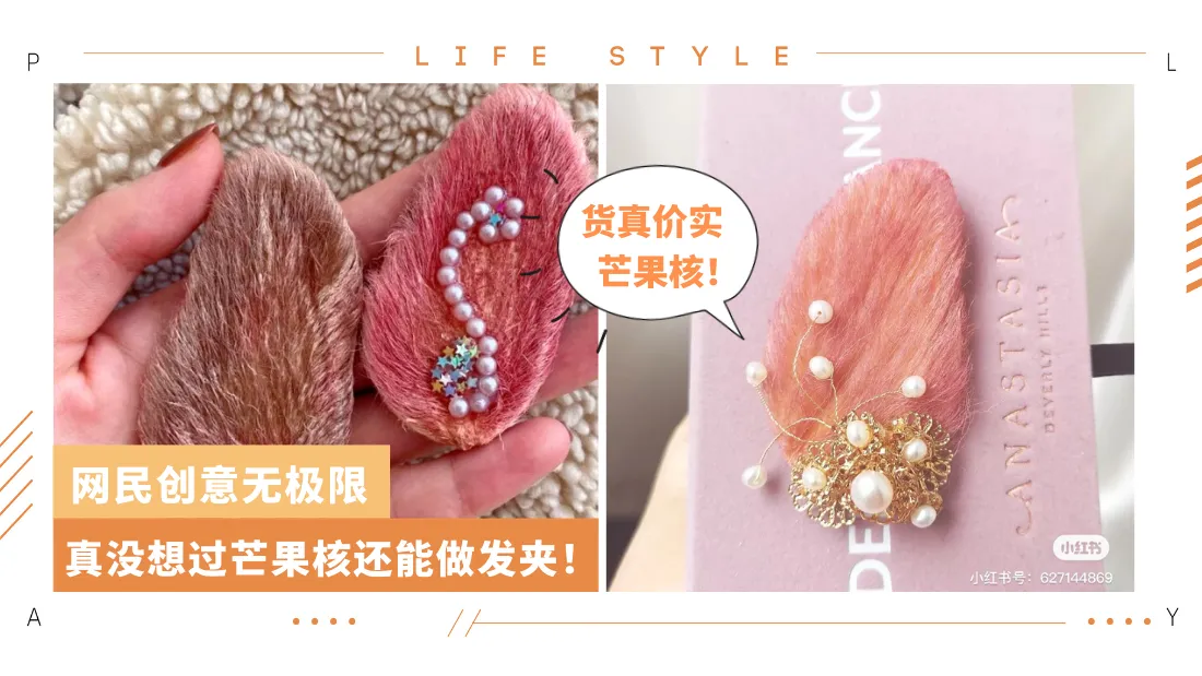 mango-seed-hair-clip.png