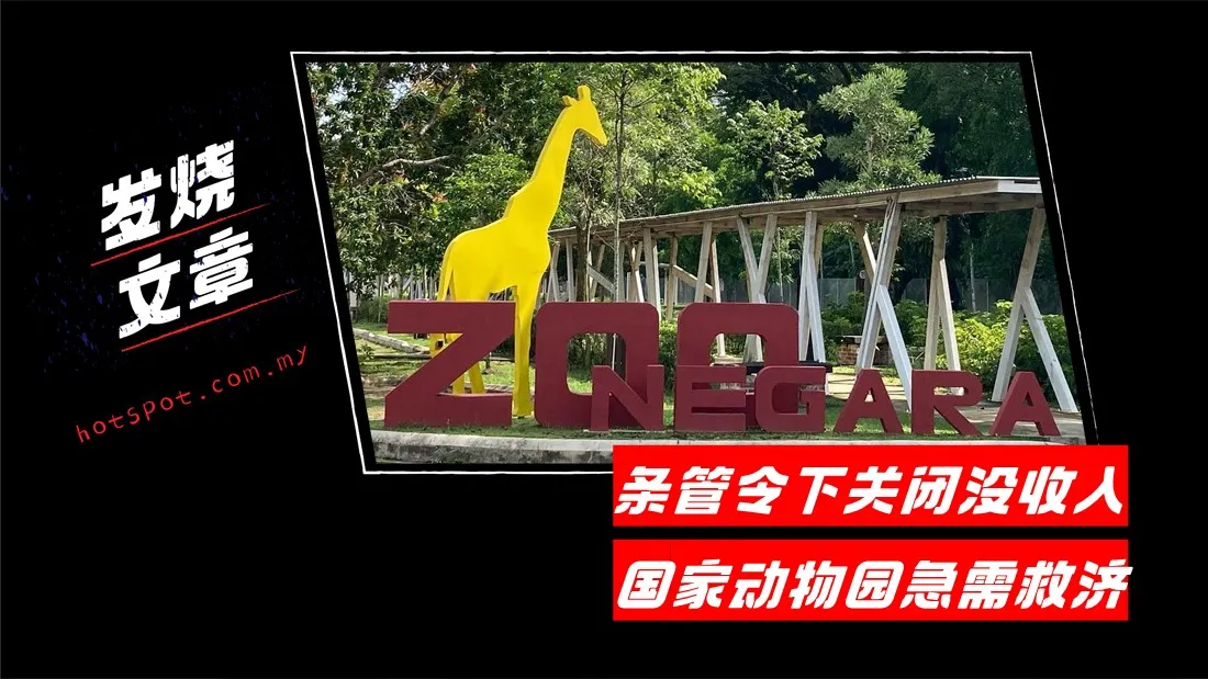 zoo_3.jpg