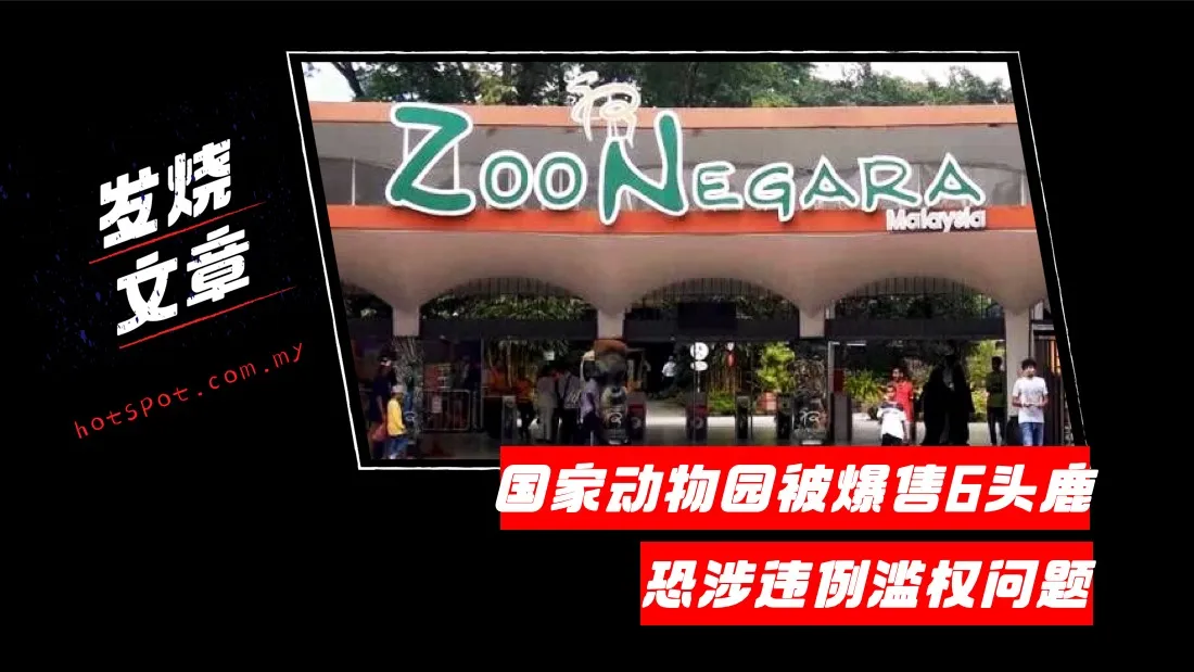 zoo_7.jpg
