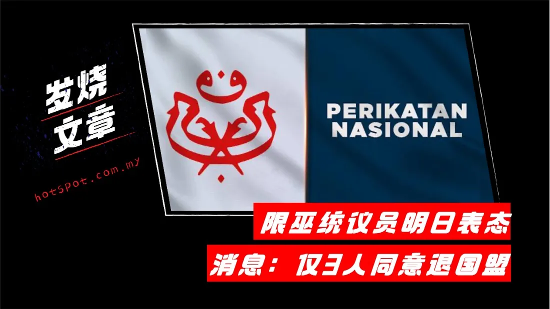 5_pn.jpg