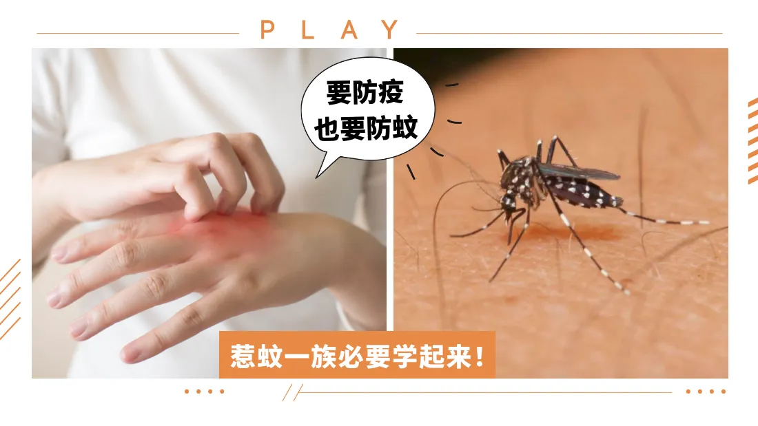 way-to-avoid-mosquito.png