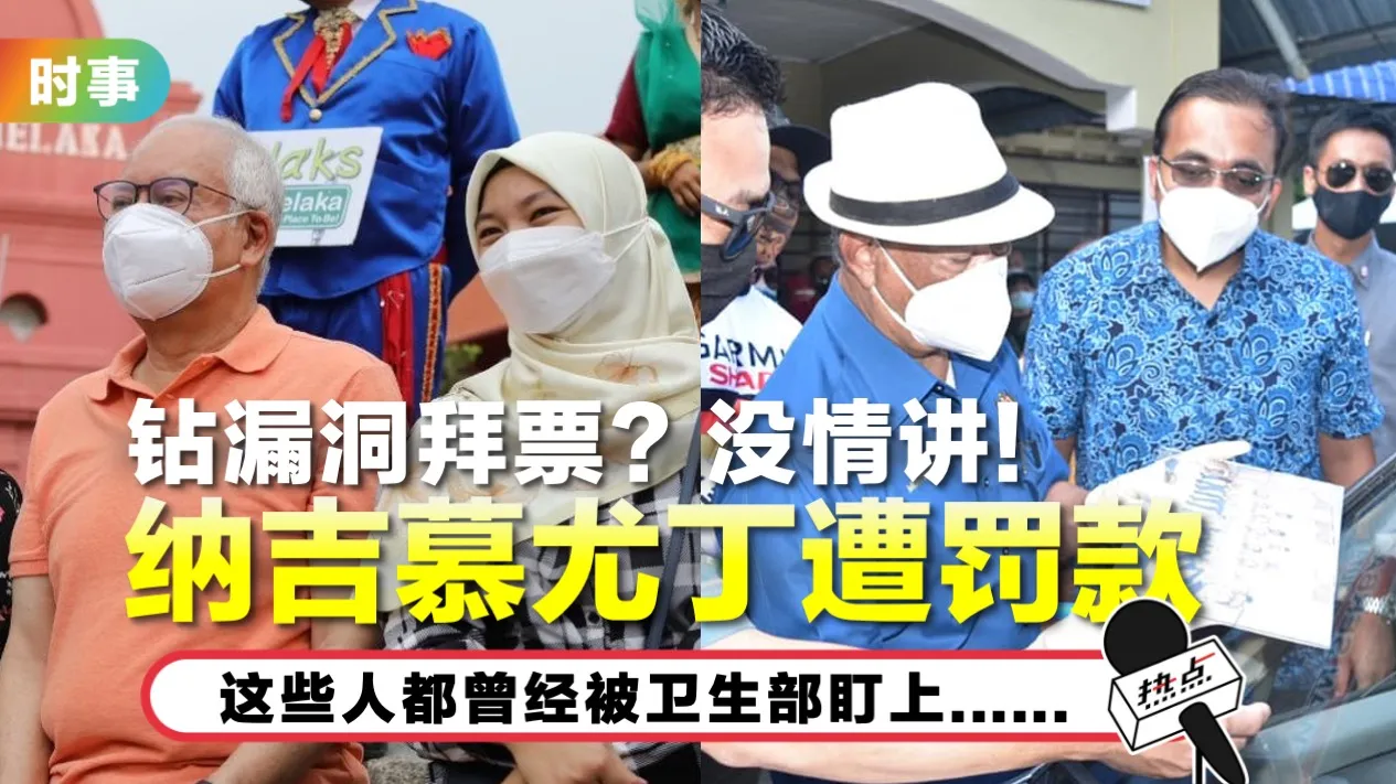 najib-muhyiddin.jpg