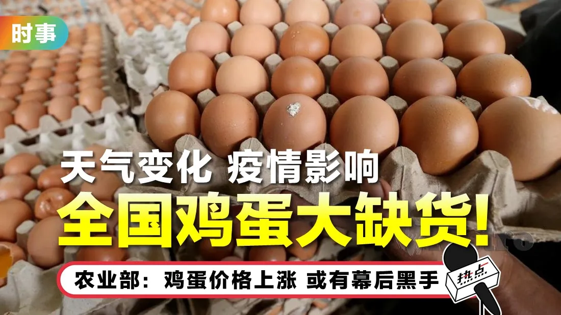 telur.jpg