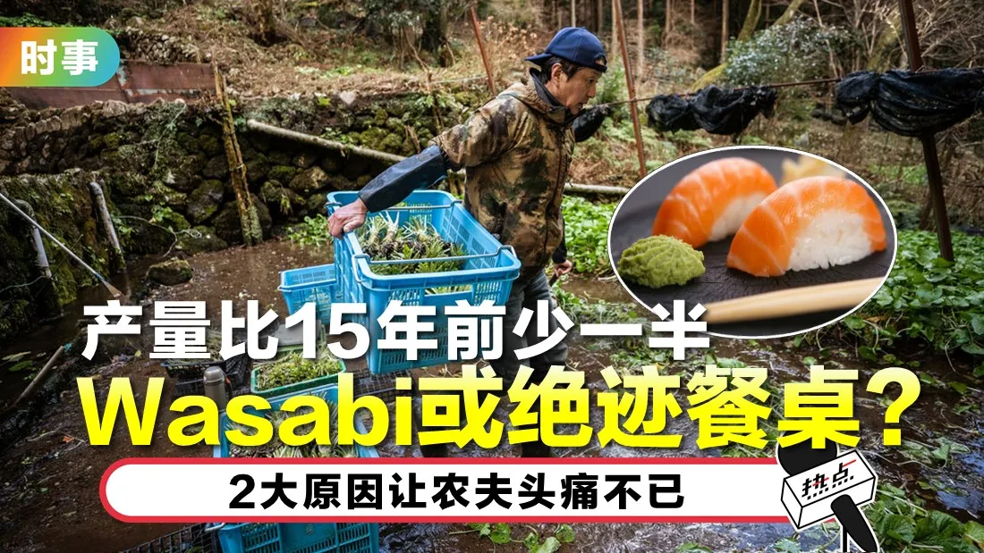 wasabi-tn.jpg