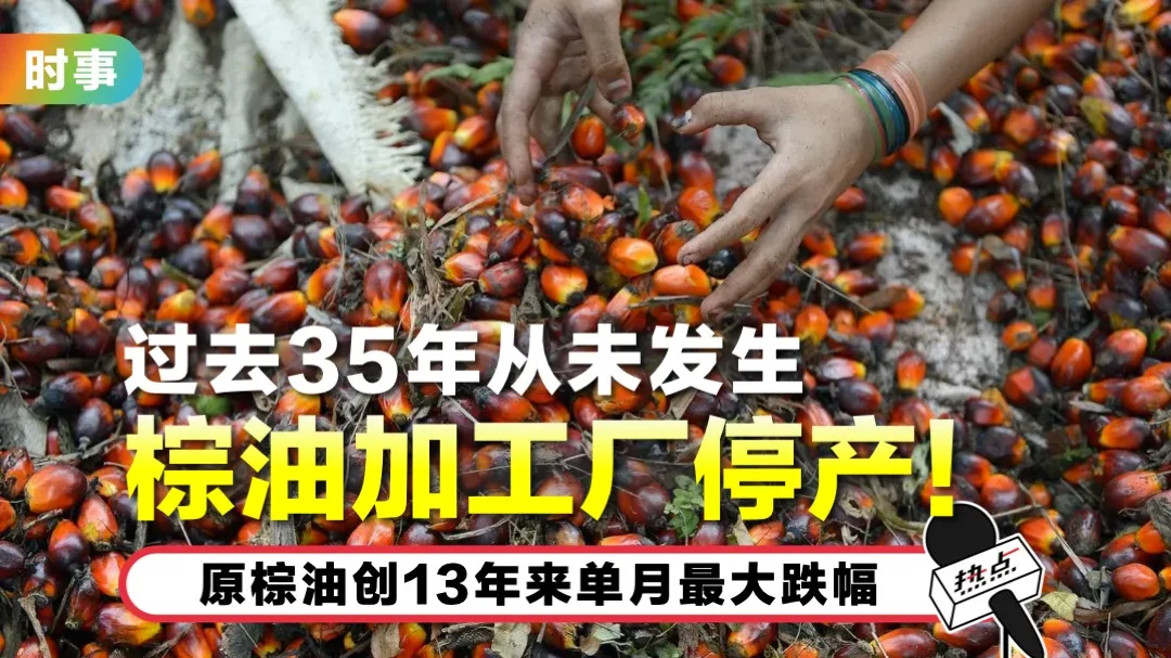 palm-oil.jpg