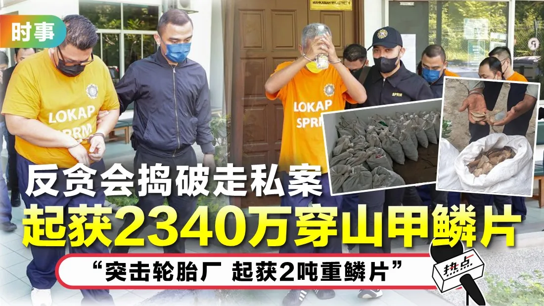 走私穿山甲.jpg