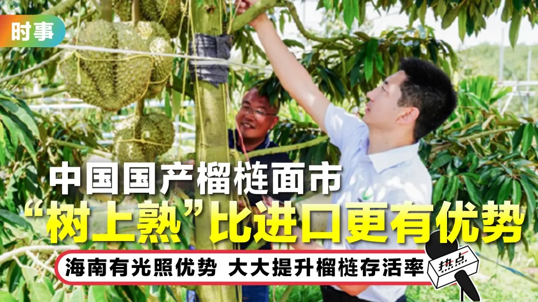 0726-tn-china-durian.jpg