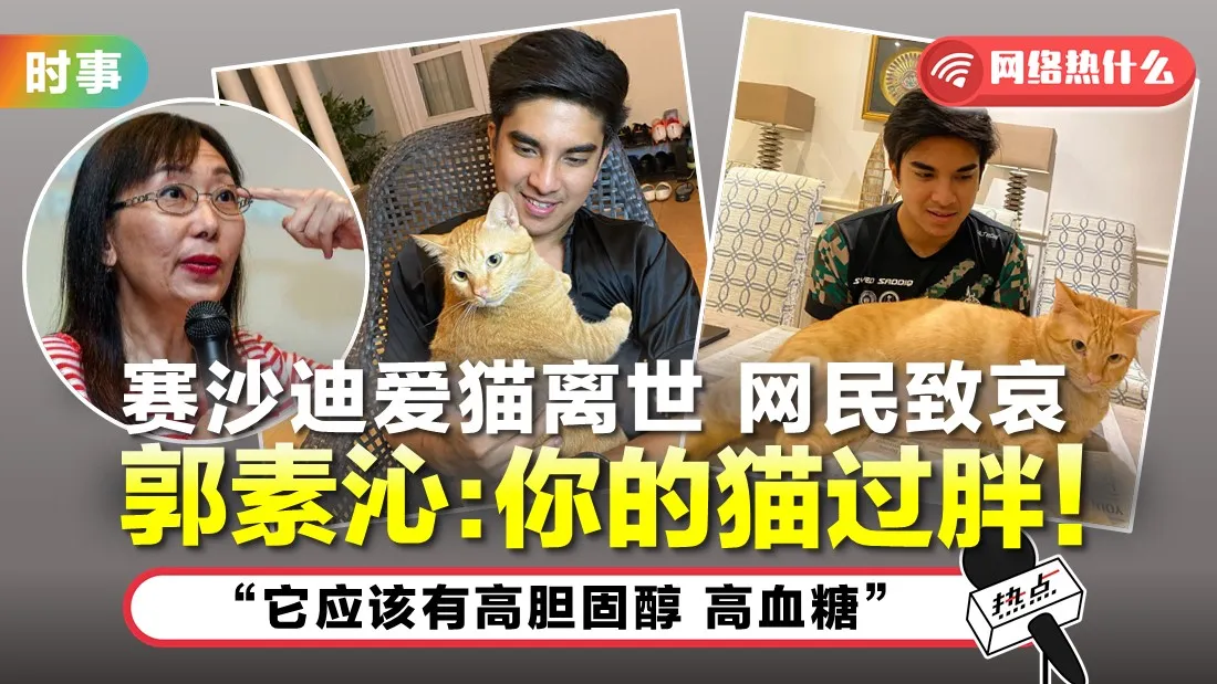 syed-saddiq_1.jpg