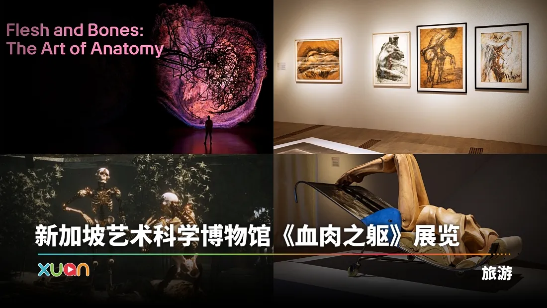 新加坡艺术科学博物馆《血肉之躯》展览体验