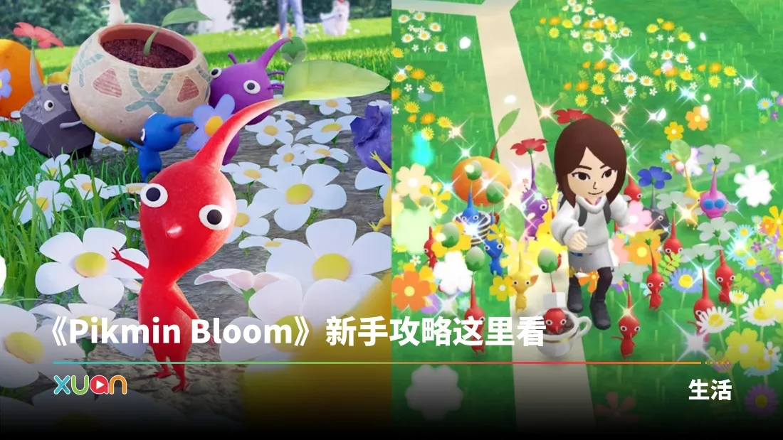 皮克敏