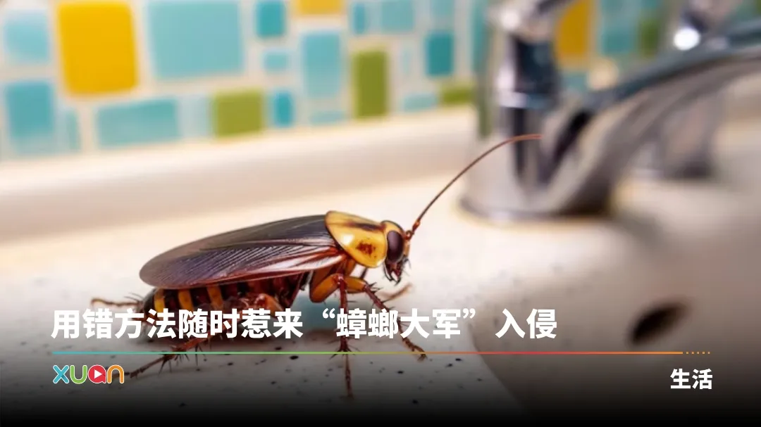 蟑螂