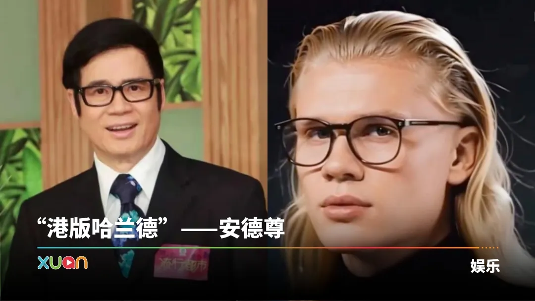 哈兰德 安德尊