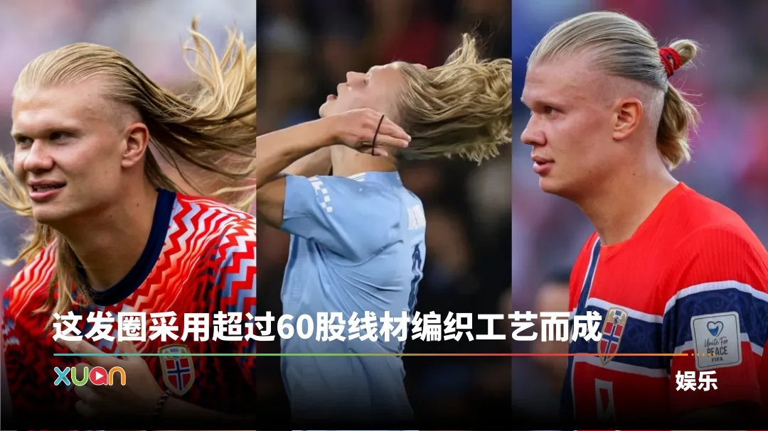 哈兰德