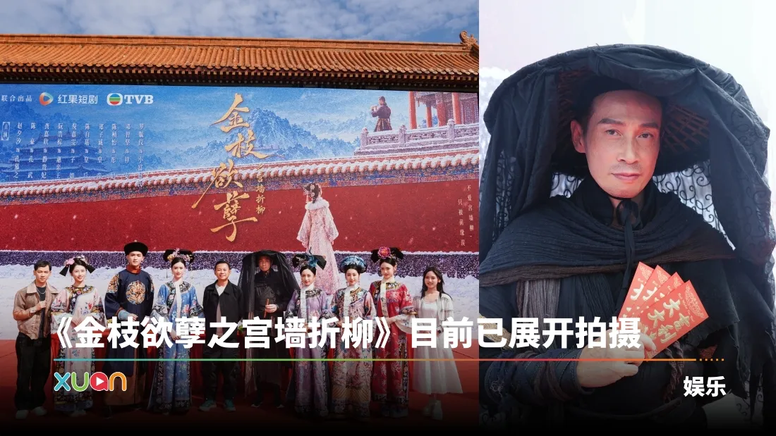 《金枝欲孽之宫墙折柳》目前已展开拍摄