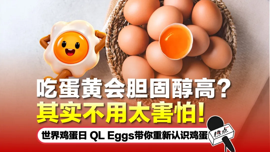 HS QL Eggs Thumbnail 2.0 Opt A