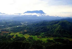 61413680884_295x200.jpg