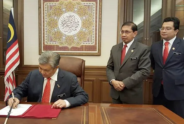 81438570407_ZAHIDHAMIDI.jpg