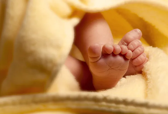 81436059123_BABY.jpg