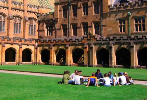 81437990483_University.jpg