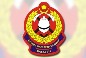 81378222650_295x200.jpg
