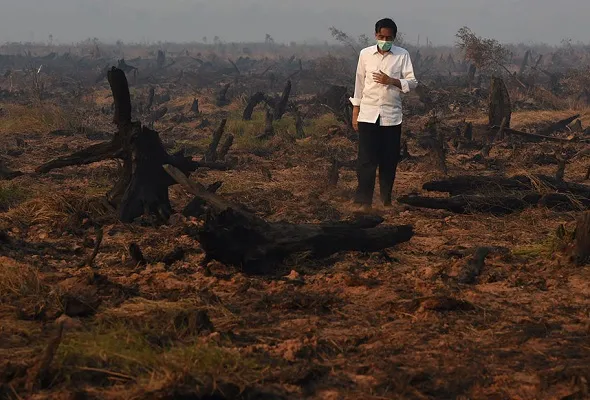 81445342523_jokowi.jpg