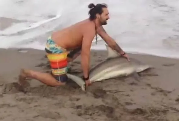 81456380258_ManPullingShark.jpg